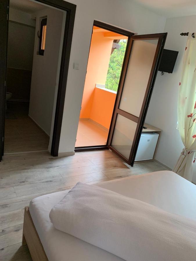 Hotel M Dey à Vişeu de Sus Extérieur photo