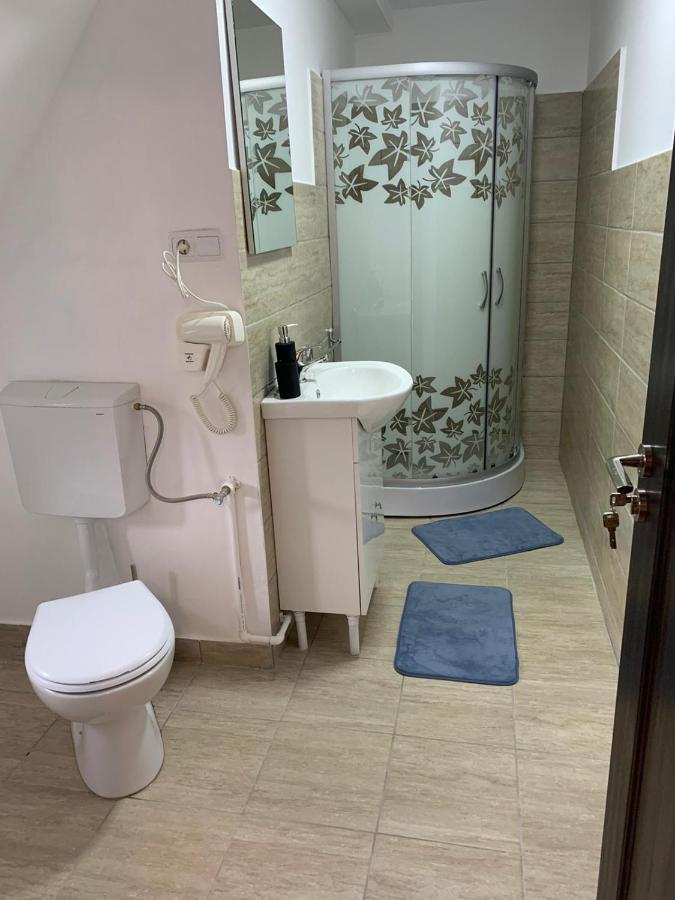 Hotel M Dey à Vişeu de Sus Extérieur photo