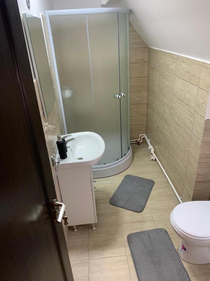 Hotel M Dey à Vişeu de Sus Extérieur photo