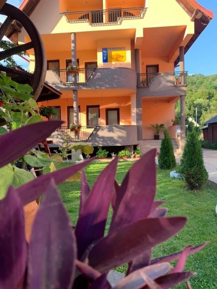 Hotel M Dey à Vişeu de Sus Extérieur photo