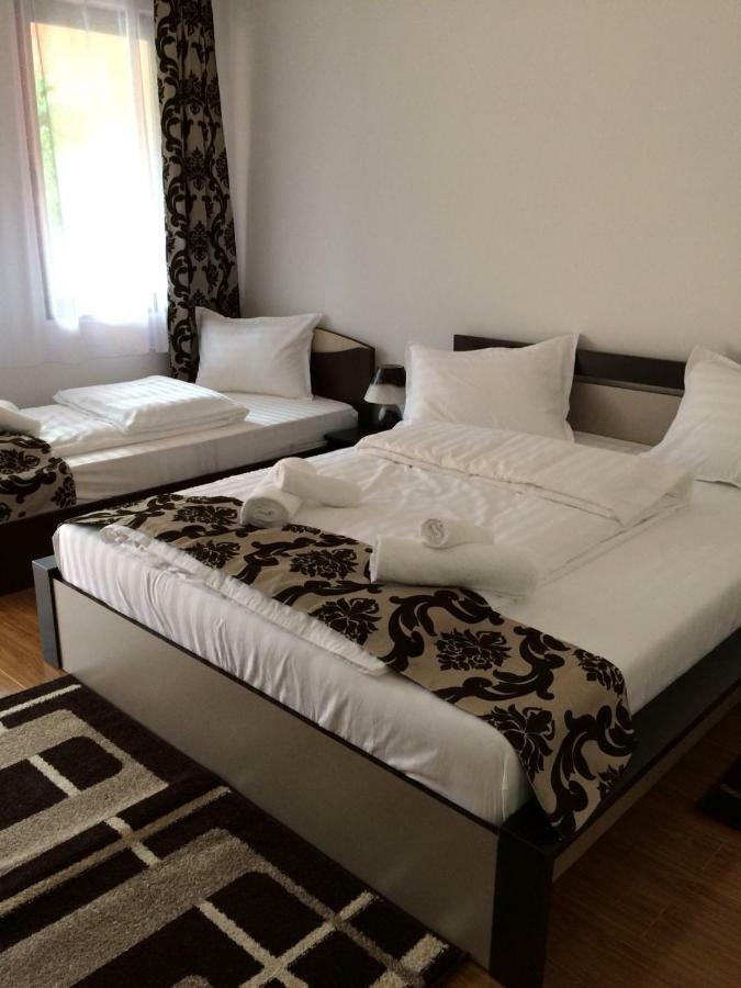 Hotel M Dey à Vişeu de Sus Extérieur photo